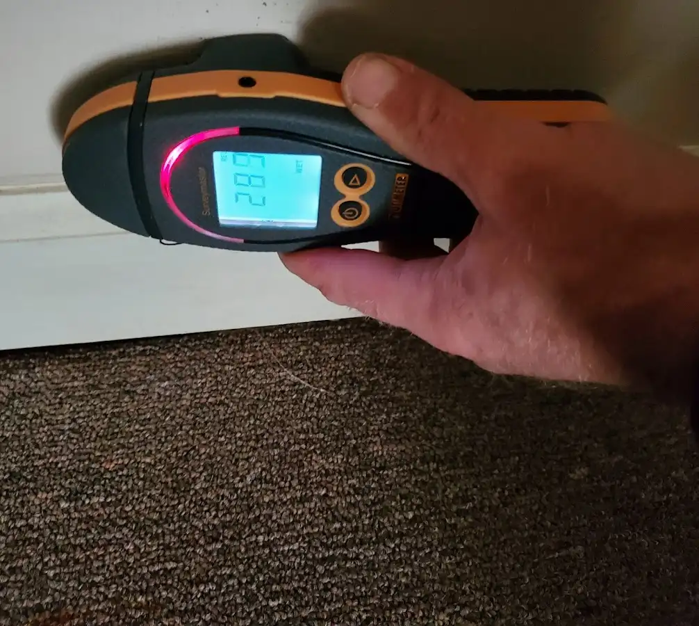 Moisture detection at baseboard during Mold Inspection & Testing in Mulvane